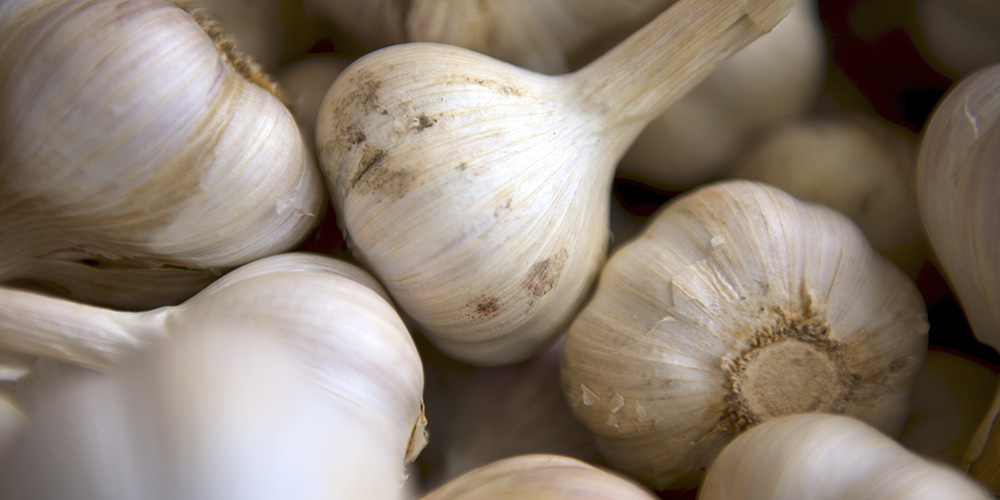 Garlic Sale Santropol Roulant