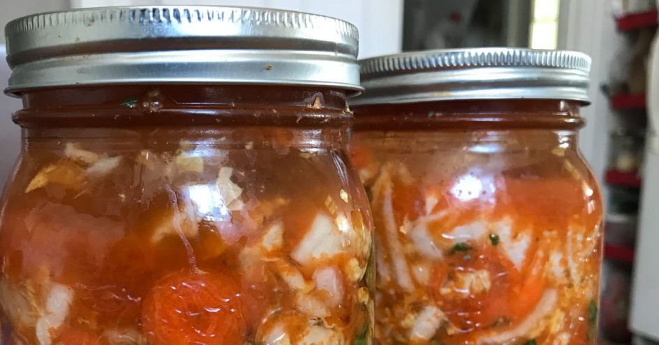 What causes kimchi to ferment?