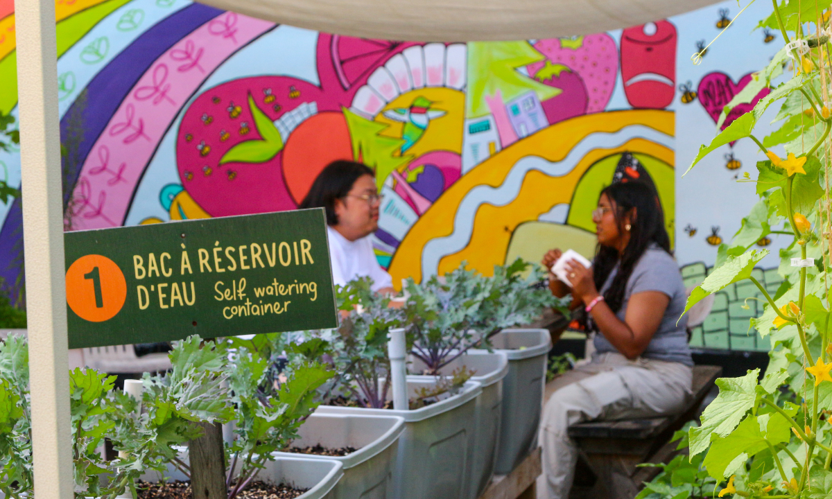 Photo inspiration: Volunteering At Urban Farms Reference: Volunteering In Urban Agriculture